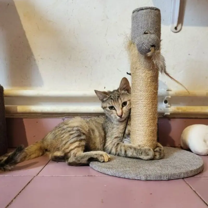 Luna