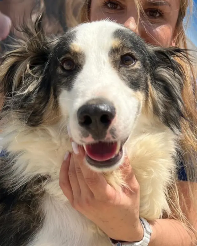 Lulu