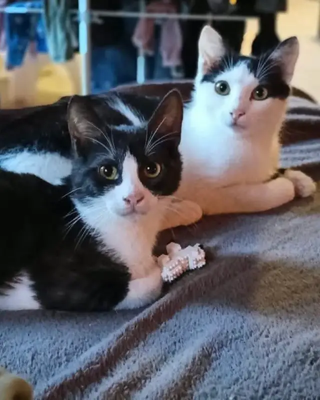 Paco et Olympe