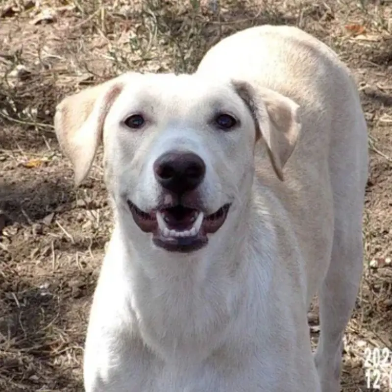 Wilma