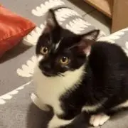 Alibi