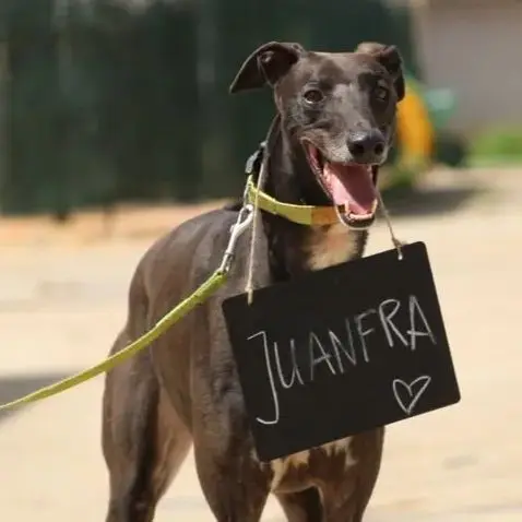 Juanfra