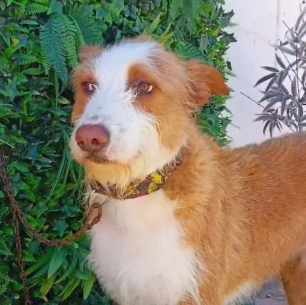 Finnley