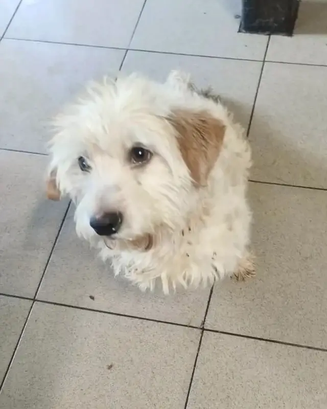 Ralph