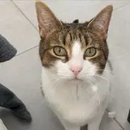Lucky