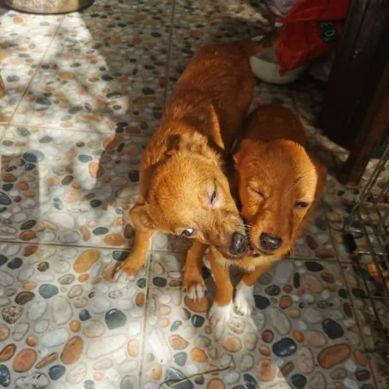 Nela Et Rela