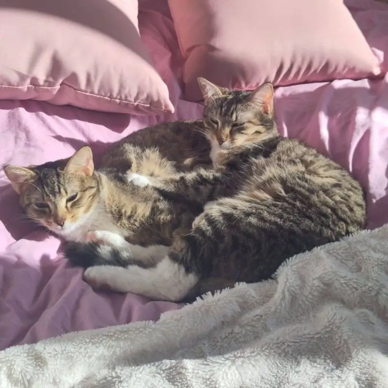 Baya Et Lexie