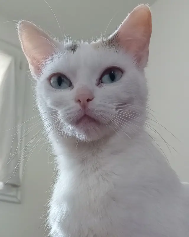 Yué