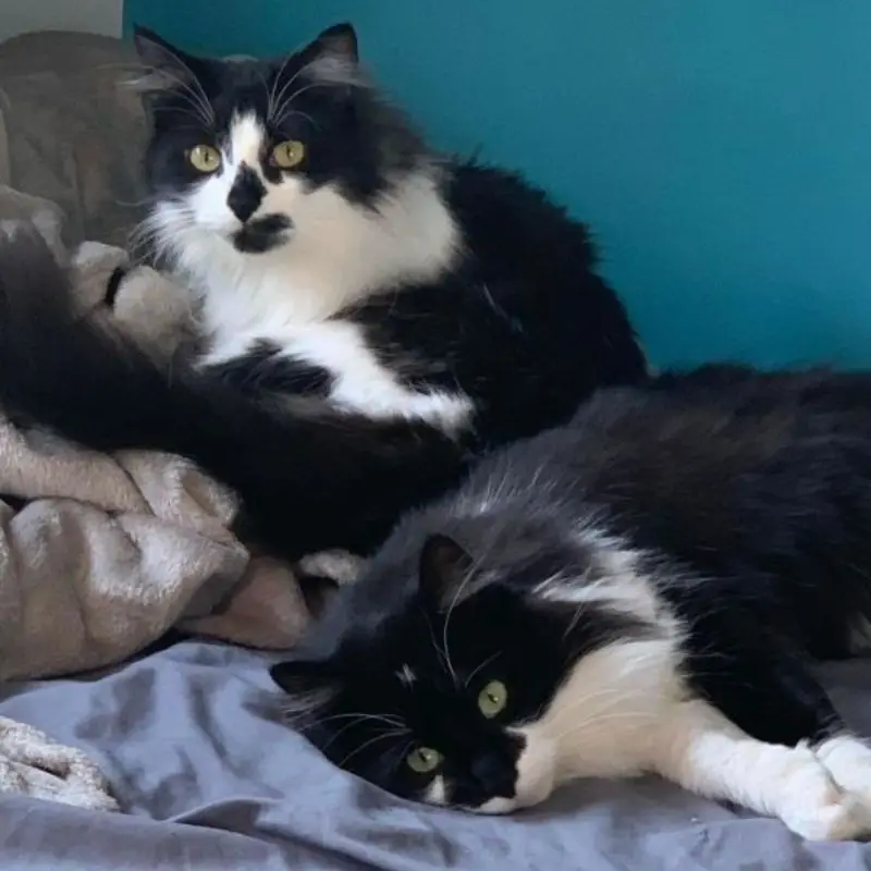 Prada & Romy (mère Et Fille)