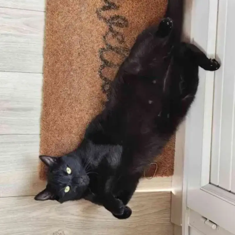 O'malley
