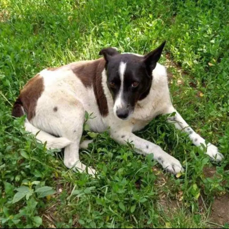 Sandra