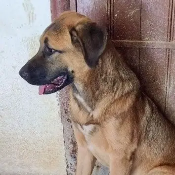 Adela