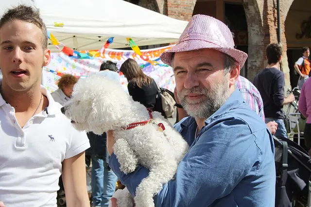 Caniche
