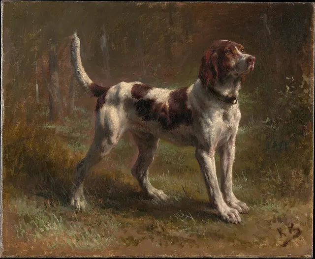 Chien d'Artois