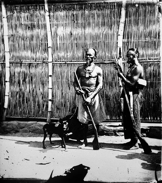 Chien de Taïwan