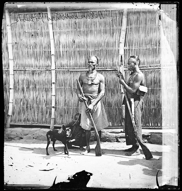 Chien de Taïwan