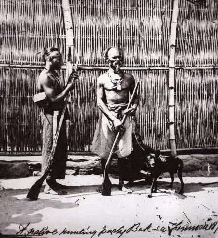 Chien de Taïwan