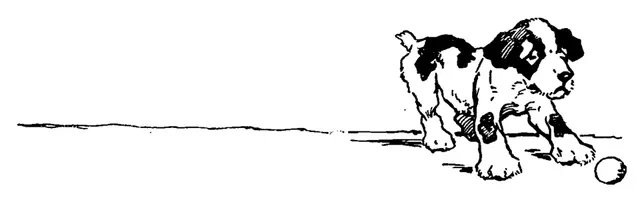 Chien de trait belge