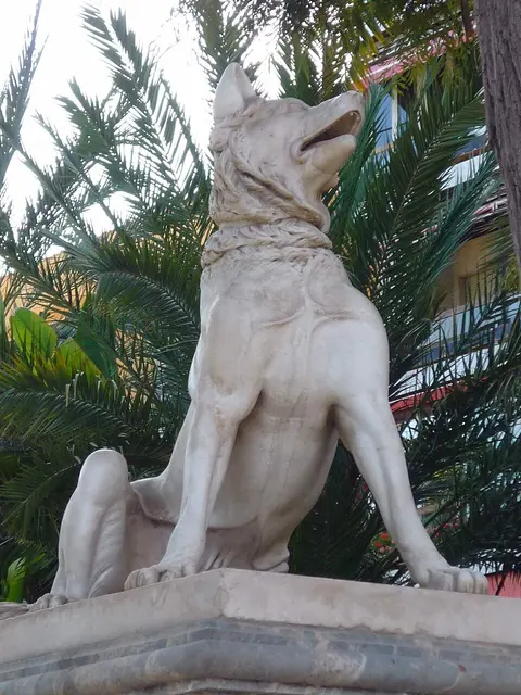 Molossoïde