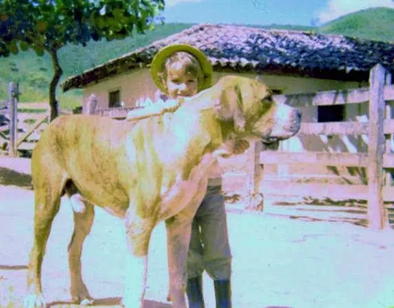 Original Fila Brasileiro