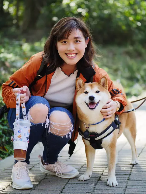 Shiba Inu