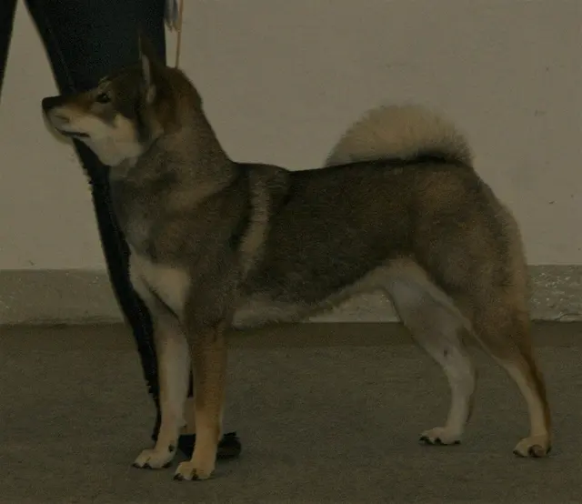 Shikoku