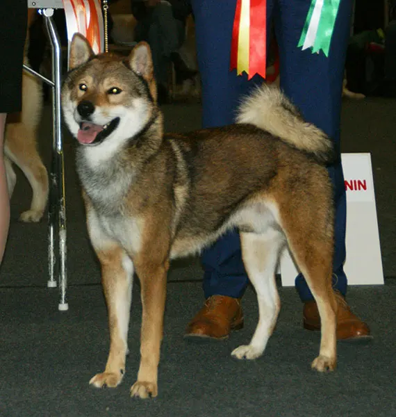 Shikoku