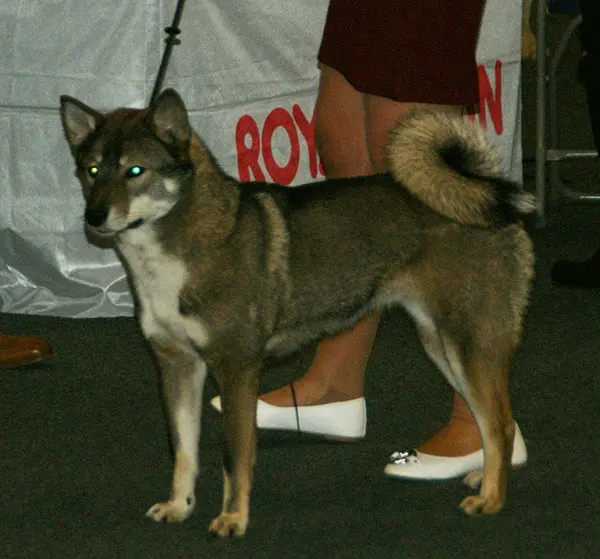Shikoku