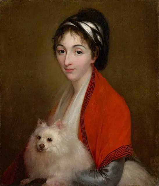 Spitz allemand